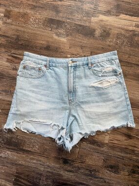 American Eagle Curvy 90’s Boyfriend Shorts Size 16